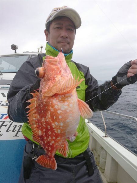 マタウマリンサービス 釣果