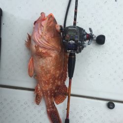 マタウマリンサービス 釣果