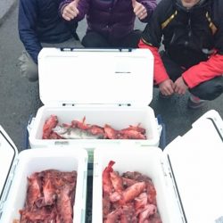 オーフリー 釣果