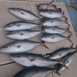旭星釣りセンター 釣果