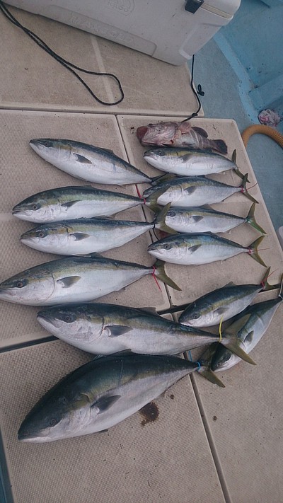 旭星釣りセンター 釣果