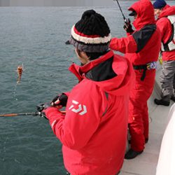 松本釣船２ 釣果