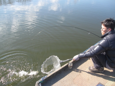 吉羽園 釣果