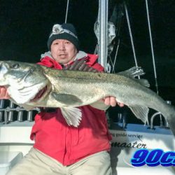 オーシャンマスター 釣果