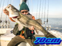 オーシャンマスター 釣果