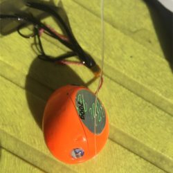 マタウマリンサービス 釣果