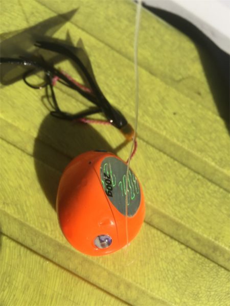 マタウマリンサービス 釣果