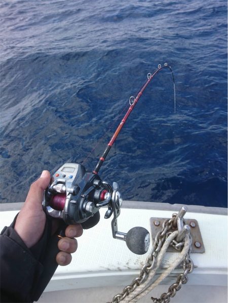 マタウマリンサービス 釣果