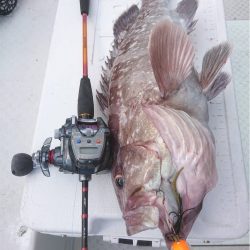 マタウマリンサービス 釣果