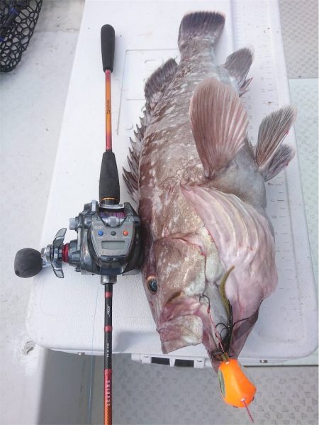 マタウマリンサービス 釣果