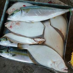 明神釣船 釣果