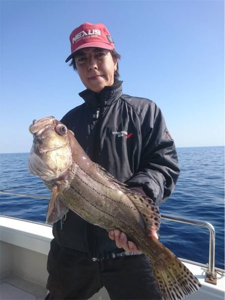 マタウマリンサービス 釣果