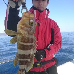 マタウマリンサービス 釣果