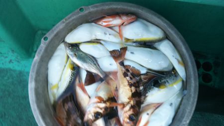 モンロー号 釣果