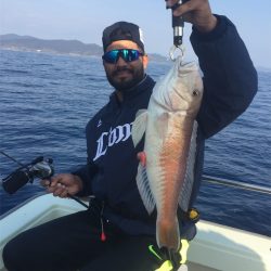 マタウマリンサービス 釣果