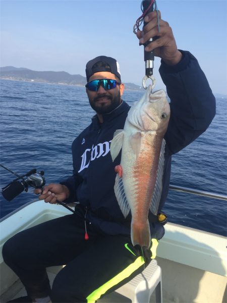 マタウマリンサービス 釣果