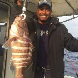 マタウマリンサービス 釣果