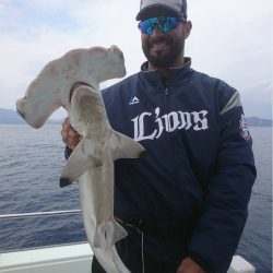 マタウマリンサービス 釣果