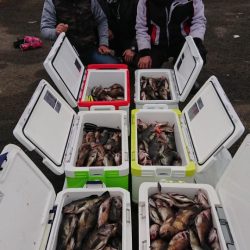 オーフリー 釣果