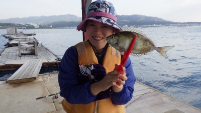 本部釣りイカダ 釣果
