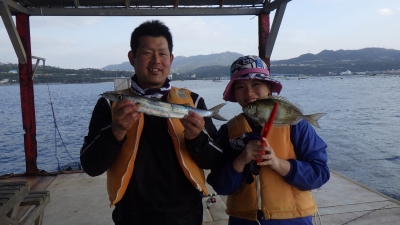 本部釣りイカダ 釣果