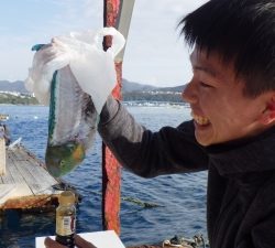 本部釣りイカダ 釣果