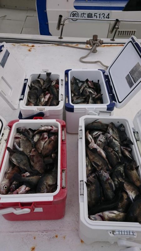 オーフリー 釣果