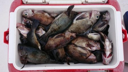 オーフリー 釣果