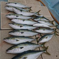 旭星釣りセンター 釣果