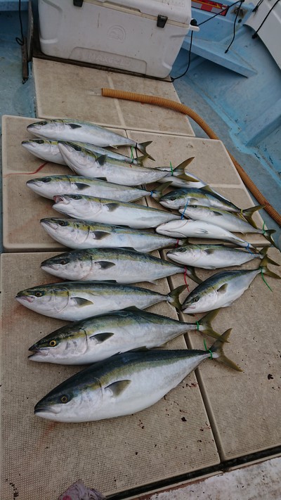 旭星釣りセンター 釣果