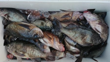 オーフリー 釣果