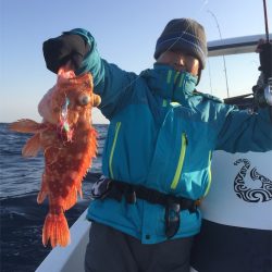 マタウマリンサービス 釣果