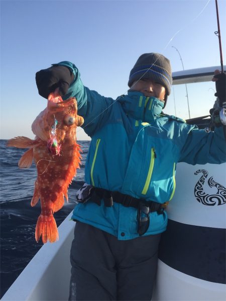 マタウマリンサービス 釣果