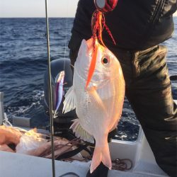 マタウマリンサービス 釣果