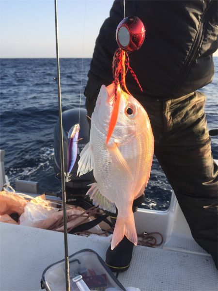 マタウマリンサービス 釣果