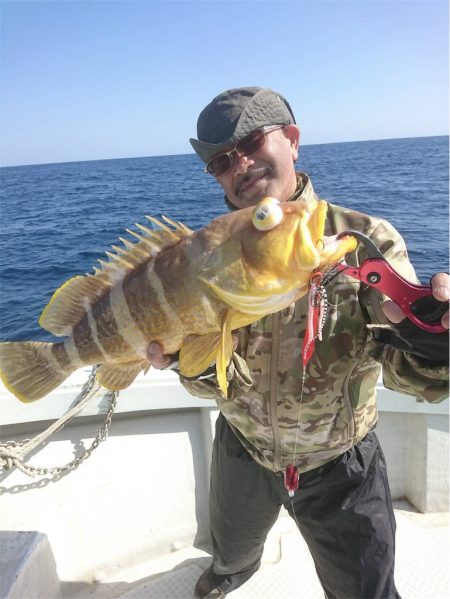 マタウマリンサービス 釣果