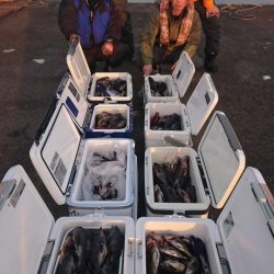 オーフリー 釣果