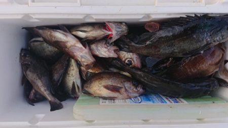 オーフリー 釣果