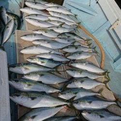 旭星釣りセンター 釣果