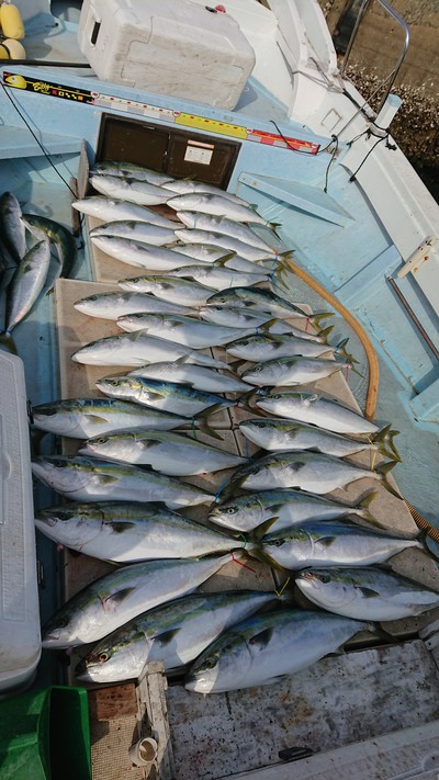 旭星釣りセンター 釣果