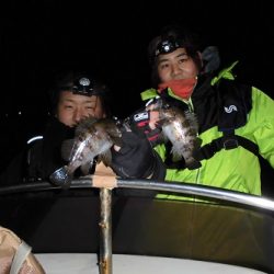 ルアー船マヒマヒ 釣果