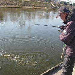 吉羽園 釣果