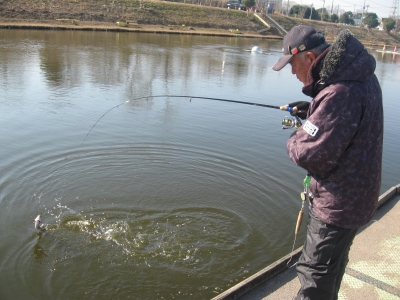 吉羽園 釣果