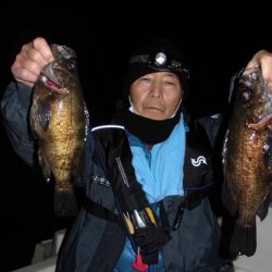 ルアー船マヒマヒ 釣果