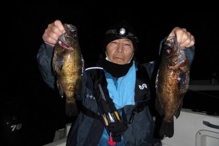 ルアー船マヒマヒ 釣果