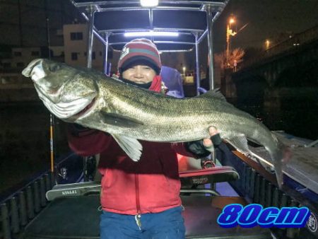 オーシャンマスター 釣果
