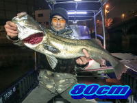 オーシャンマスター 釣果