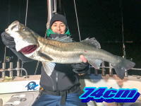 オーシャンマスター 釣果