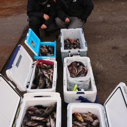 オーフリー 釣果