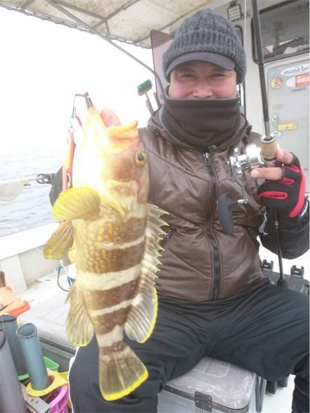 マタウマリンサービス 釣果